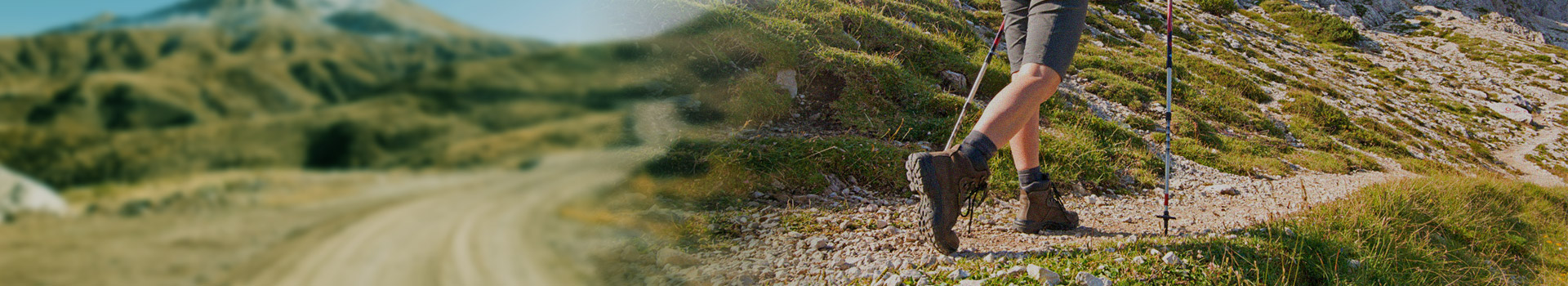 डाउनलोड करना